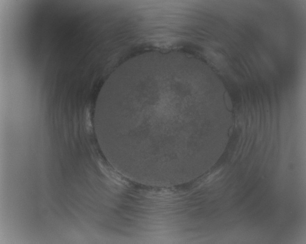 X0000069831106200605261834