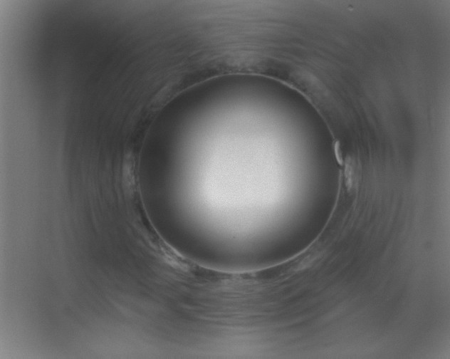 X0000069831107200605261834