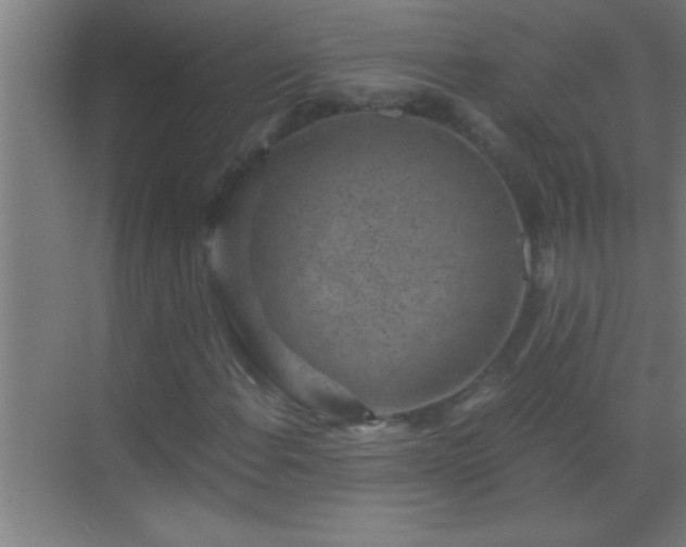 X0000069831108200605261834