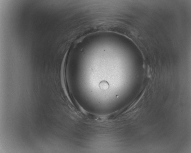 X0000069831109200605261834