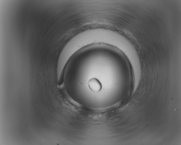 X0000069831110200605261834