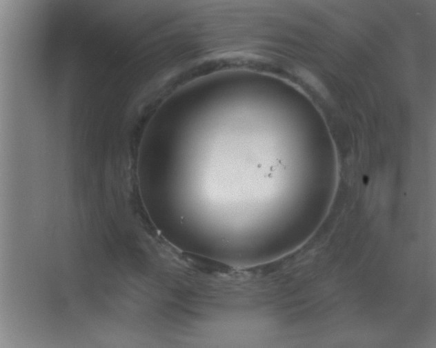 X0000069831111200605261834