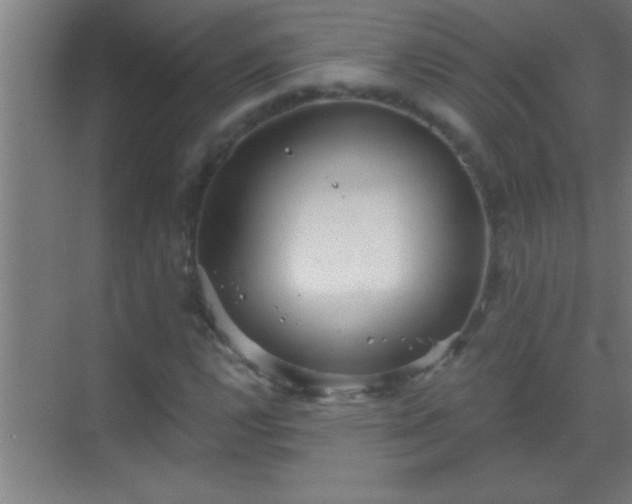 X0000069831112200605261834