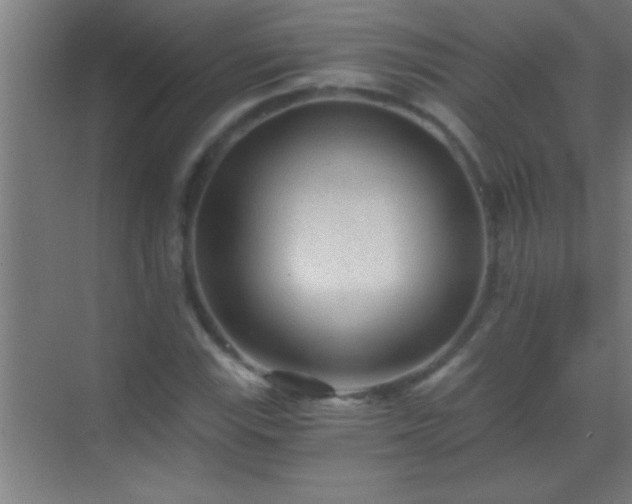 X0000069831115200605261834