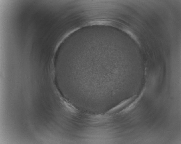 X0000069831117200605261834