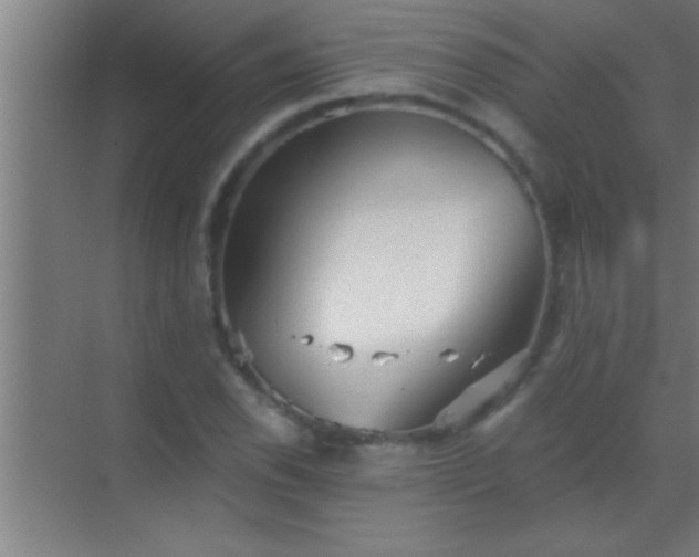 X0000069831118200605261834