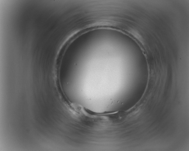 X0000069831119200605261834