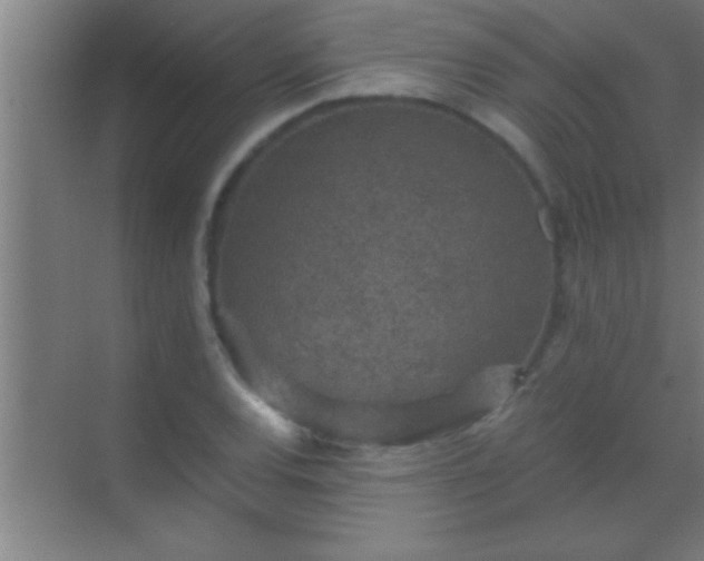 X0000069831120200605261834