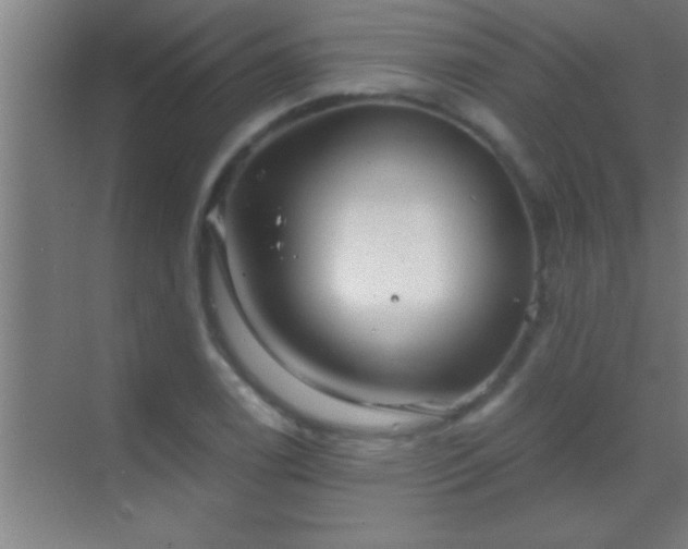 X0000069831122200605261834