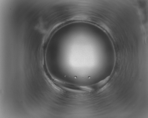 X0000069831123200605261834