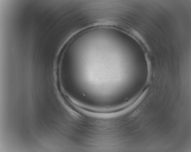 X0000069831124200605261834