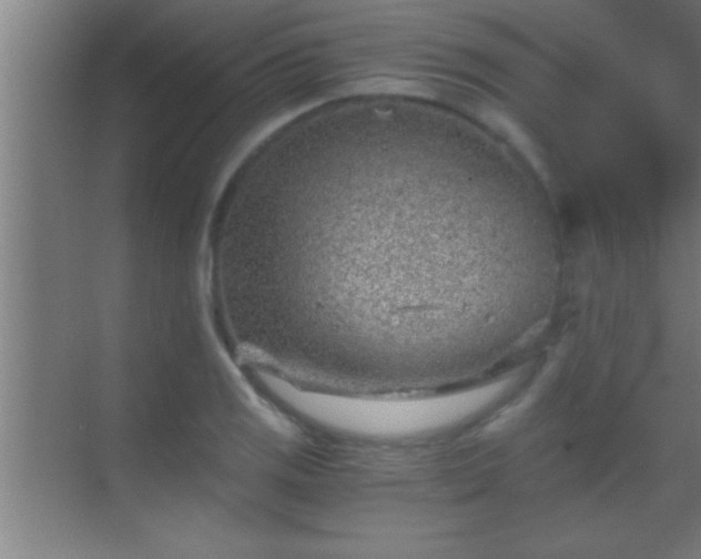 X0000069831125200605261834