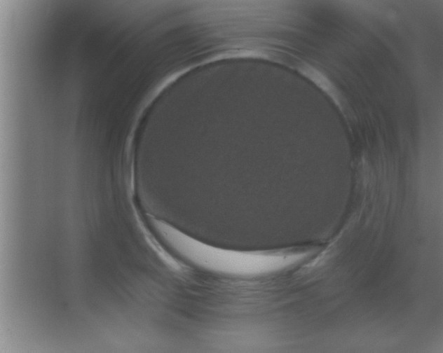 X0000069831127200605261834