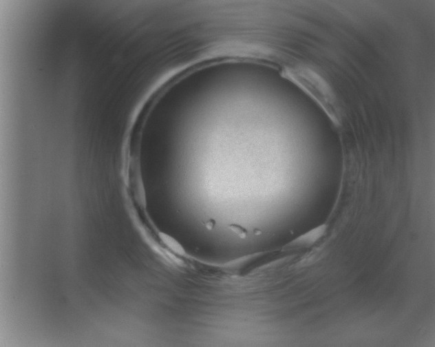 X0000069831128200605261834