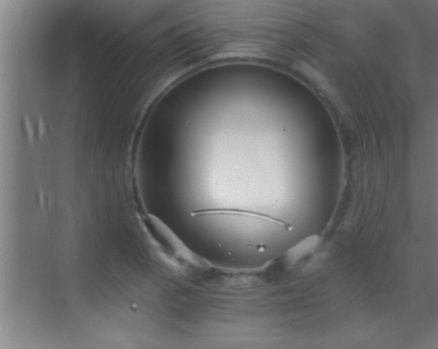 X0000069831129200605261834