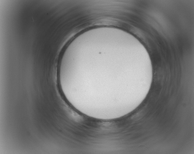 X0000069831130200605261834