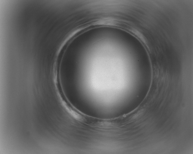 X0000069831131200605261834