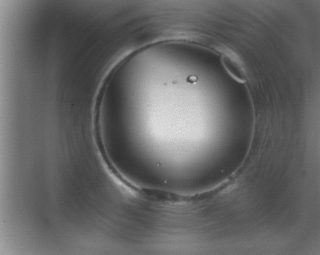 X0000069831135200605261834