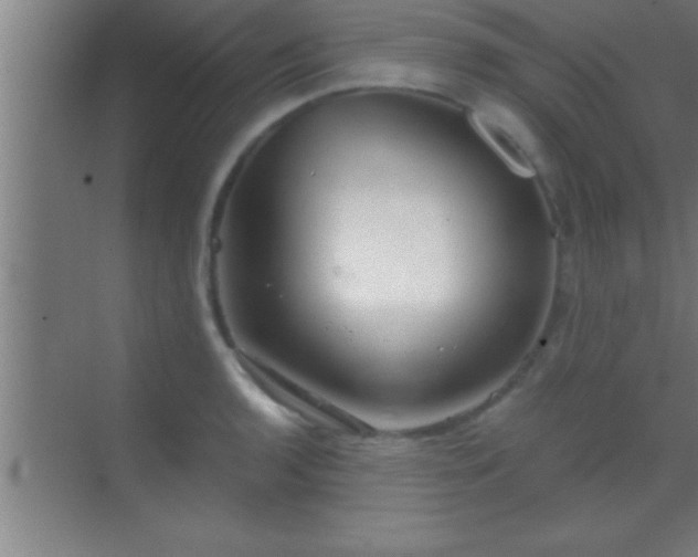 X0000069831136200605261834