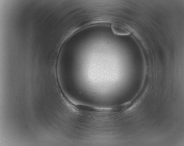 X0000069831137200605261834