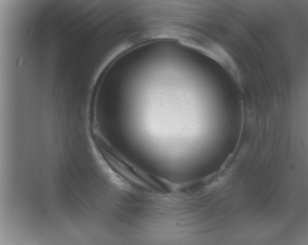 X0000069831138200605261834