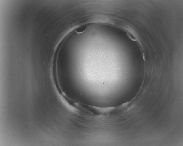 X0000069831139200605261834