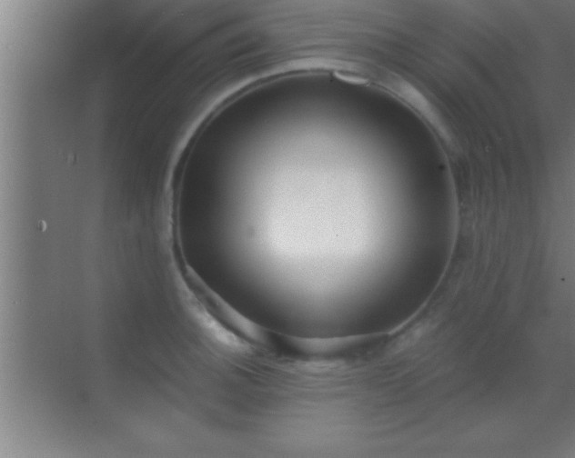 X0000069831140200605261834