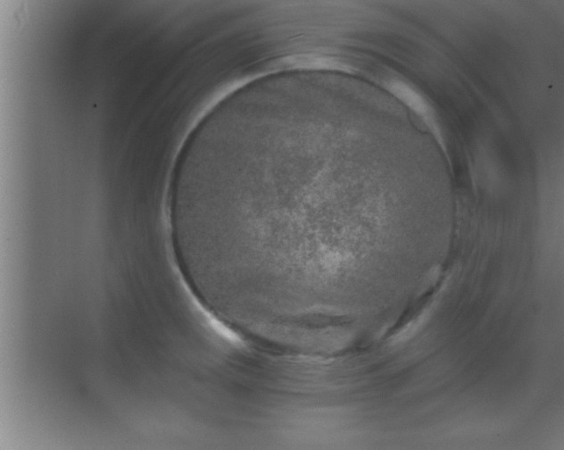 X0000069831141200605261834