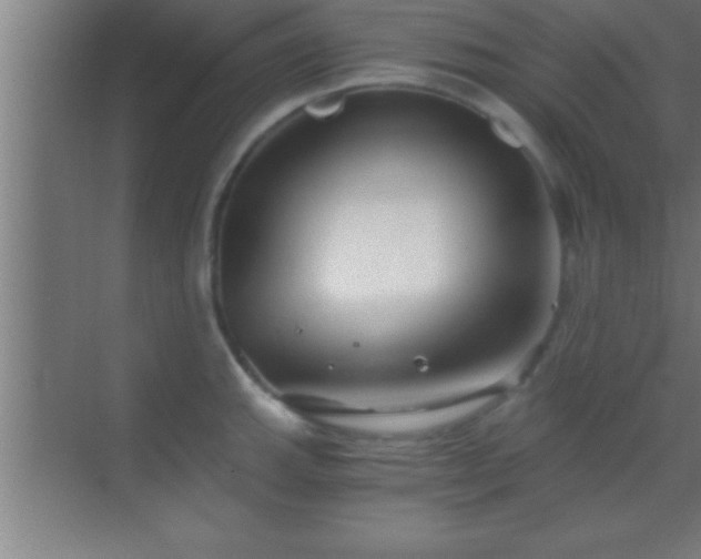 X0000069831143200605261834