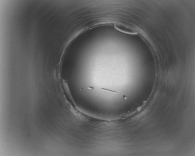 X0000069831145200605261834