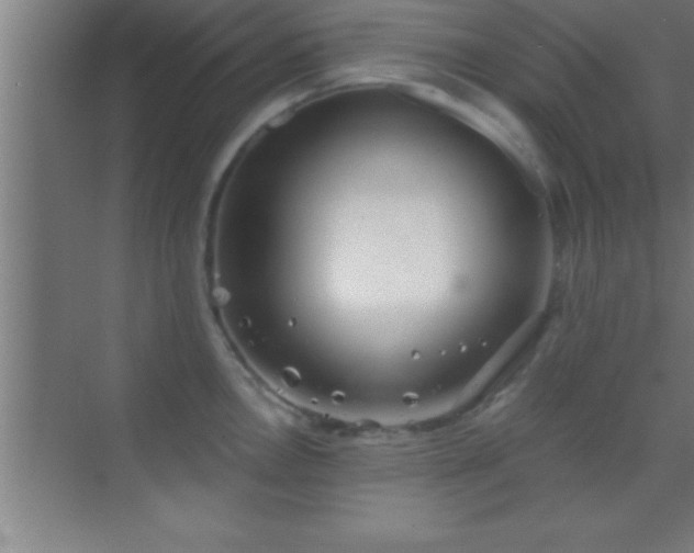 X0000069831146200605261834