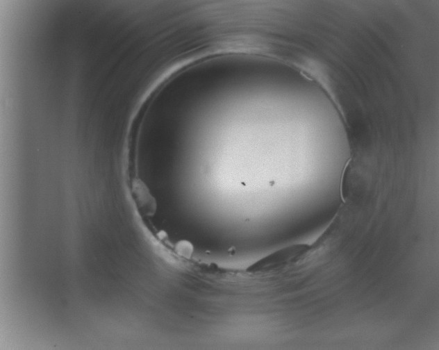 X0000069831147200605261834