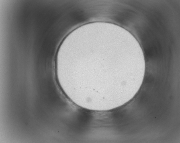 X0000069831150200605261834