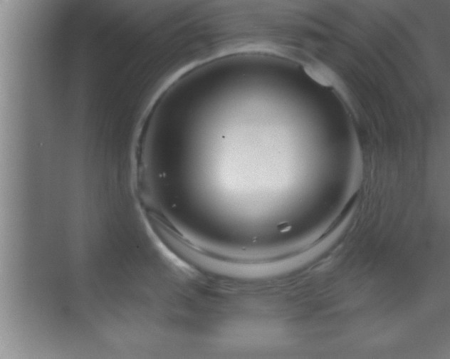 X0000069831151200605261834