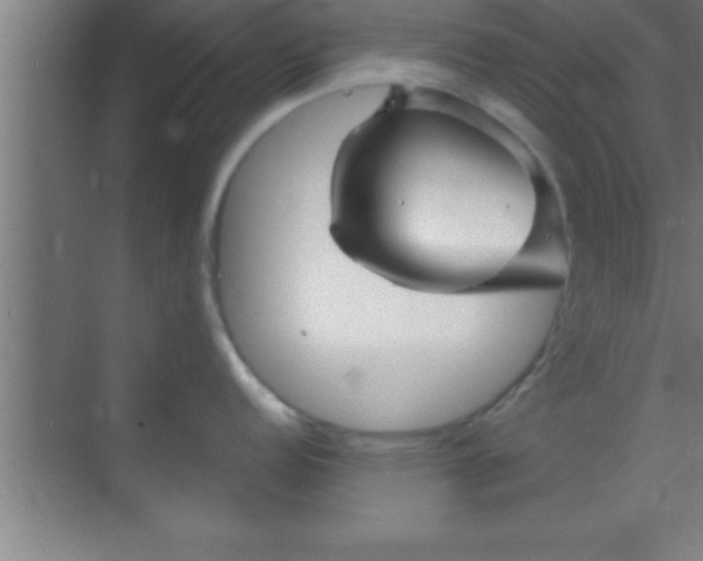 X0000069831152200605261834