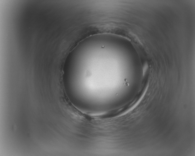 X0000069831153200605261833