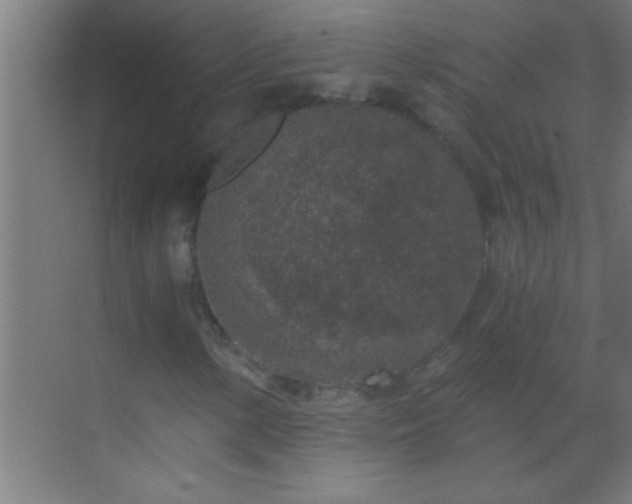 X0000069831154200605261833