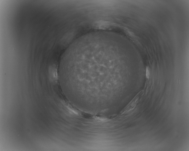 X0000069831155200605261833