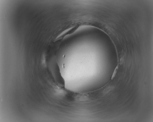 X0000069831156200605261833