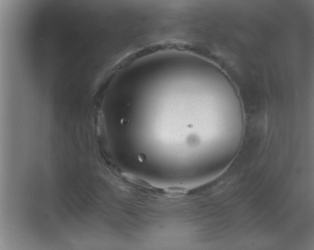 X0000069831159200605261833