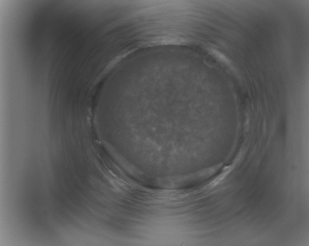 X0000069831161200605261833