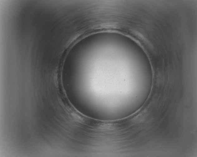 X0000069831162200605261833