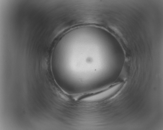 X0000069831163200605261833