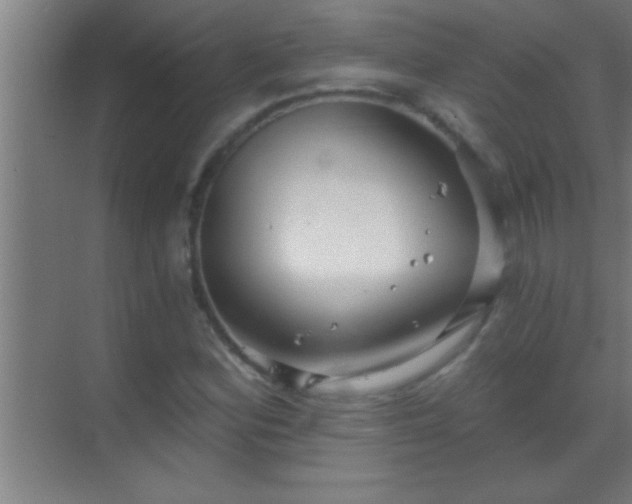 X0000069831164200605261833