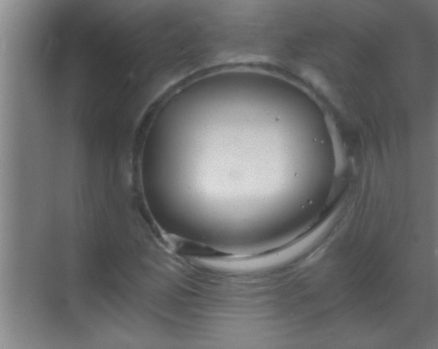 X0000069831165200605261833