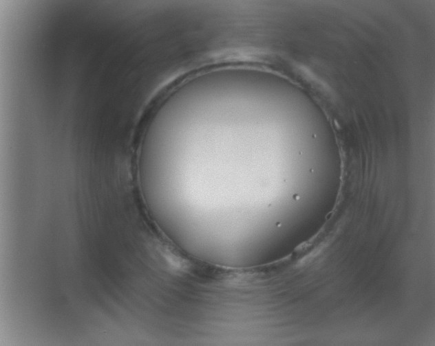 X0000069831166200605261833