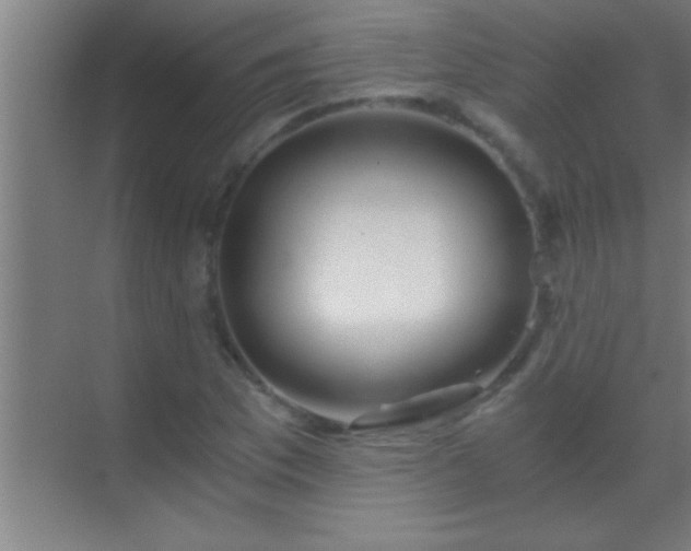 X0000069831169200605261833