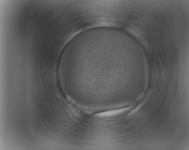 X0000069831170200605261833