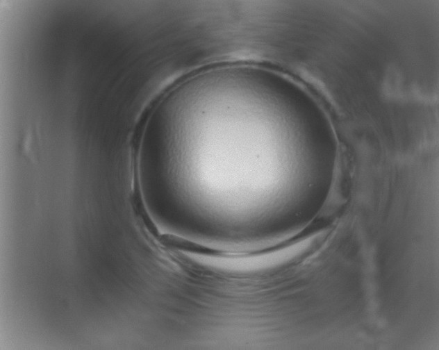 X0000069831171200605261833