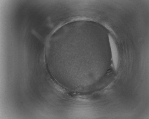 X0000069831173200605261833